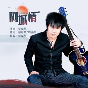 阿城情 (伴奏)