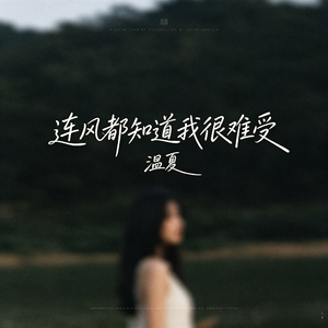 连风都知道我很难受