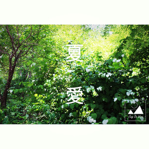 여름애(부제：하애)