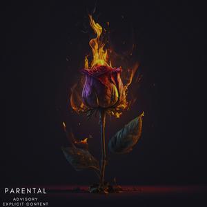 Touch The Floor (feat. Molex)