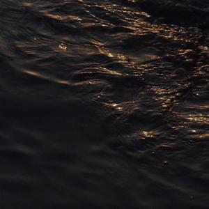 年轮(日子过得可真快呀)