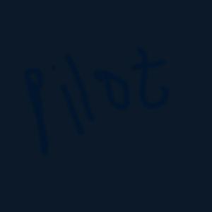 Pilot