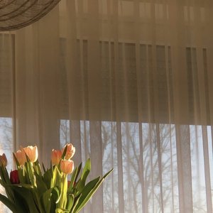 my darling (Slowed & Reverb)