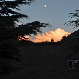 年少不知天地厚