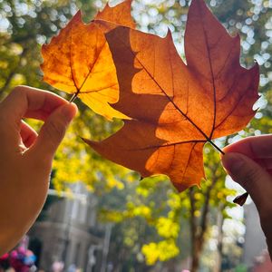 我想 这不是悄悄话