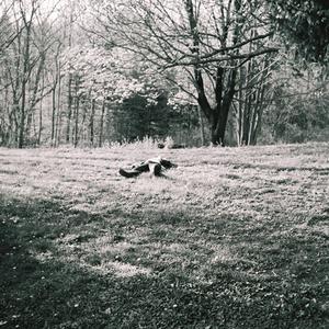 Havana (Slow Motion Electrick Mix)