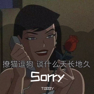 Clairo-Sorry I was Afraid to kiss U（TOBBY remix）