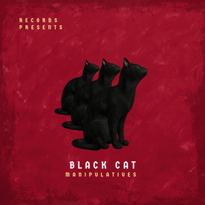 Black Cat