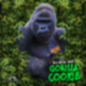 Gorilla Cookie