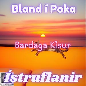 Bardaga Kisur