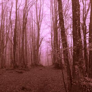 Parole (è tempo di partire)