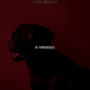 安静的可爱的狗声音
