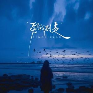 爱我别走 (Cover 张震岳)