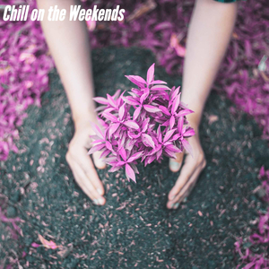 Bossa Nova Piano Duo Soundtrack for Light Silence