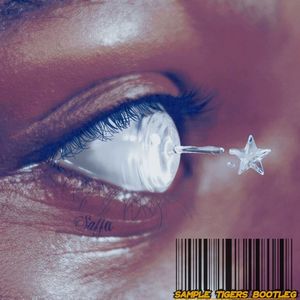 Lil Nas X-STAR WALKIN（Sample Tigers Bootleg）