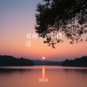 双向心动却错过