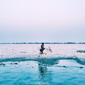 去大理（翻自 郝云）