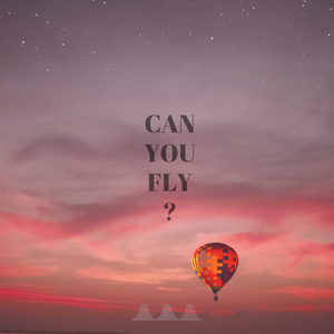Can You Fly