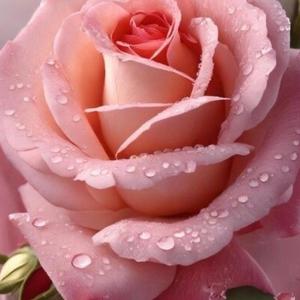 When You're Feeling Low