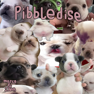 Pibbledise