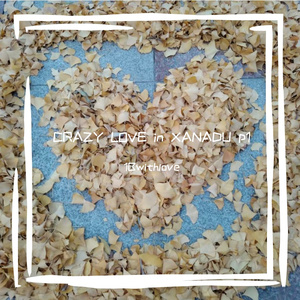 outro 一月六日阴