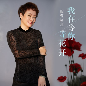 我在等你等花开