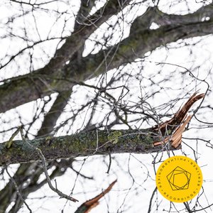 Symphony No. 2 in E Minor, Op. 27: III. Adagio