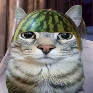 口水旋律vol.1.01