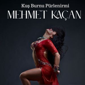 Kuş Burnu Pürlenirmi