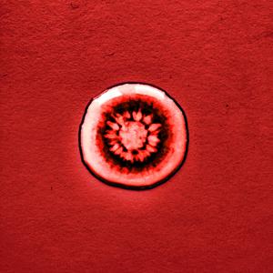 Nocturne (Alternative Take)