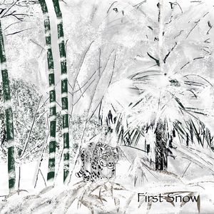 First Snow