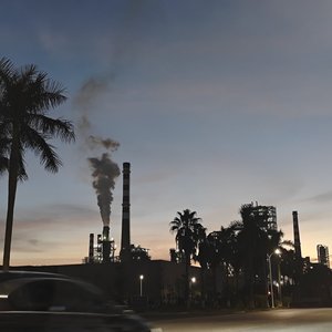 《落叶与说辞》