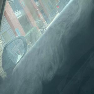 Zooted (feat. Tr3yHunchō)