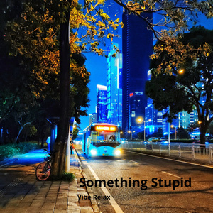 Something Stupid