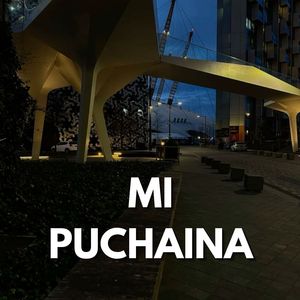 Mi Puchaina