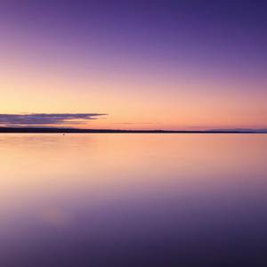 Setting Sun (from "The Dangers in My Heart") (Piano Version)