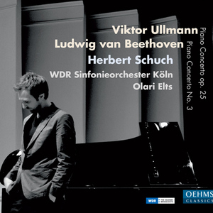 Piano Concerto, Op. 25:II. Andante tranquillo