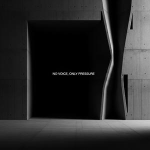 FLESH REPLACED BY STEEL