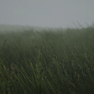 灰白原野 prod by FRESH_ye