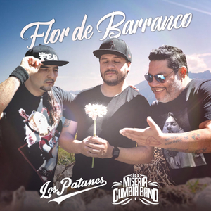 Flor de Barranco (feat. Los Miseria Cumbia Band)