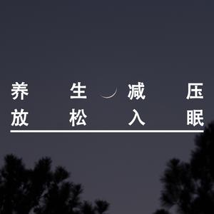 携漫天星辰以赠你丨纯音乐
