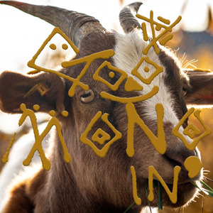 개 쩔 어 (Zutter) 왕 반 지 (feat. Uncommon)