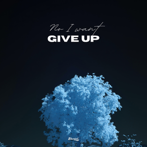 Give Up