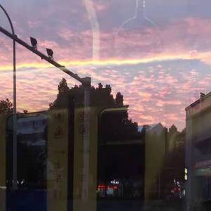 异类(宿舍破音版)