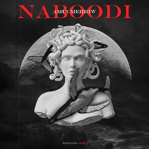 Naboodi