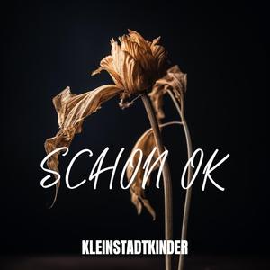 Schon ok