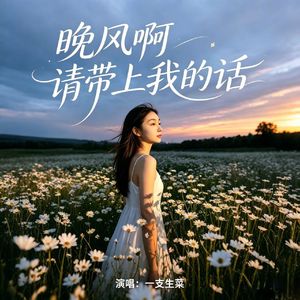 晚风啊请带上我的话(DJ阿默版伴奏)