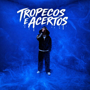 TROPEÇOS E ACERTOS
