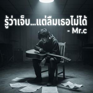 รู้ว่าเจ็บแต่ลืมเธอไม่ได้