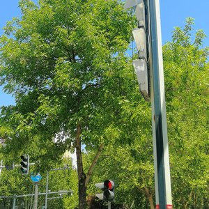 夏日加冰葡萄汽水